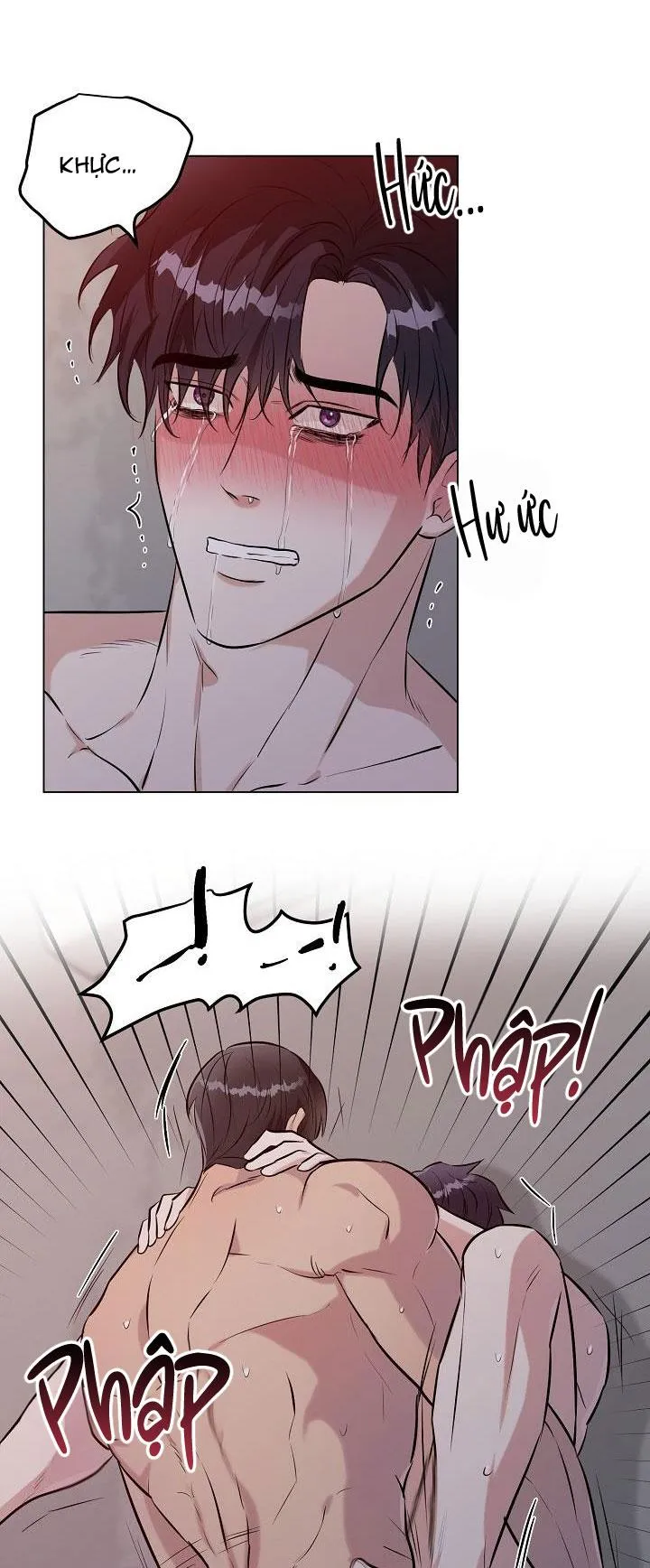 Cái bóng sau song cửa sắt Chapter 13 Trang 9