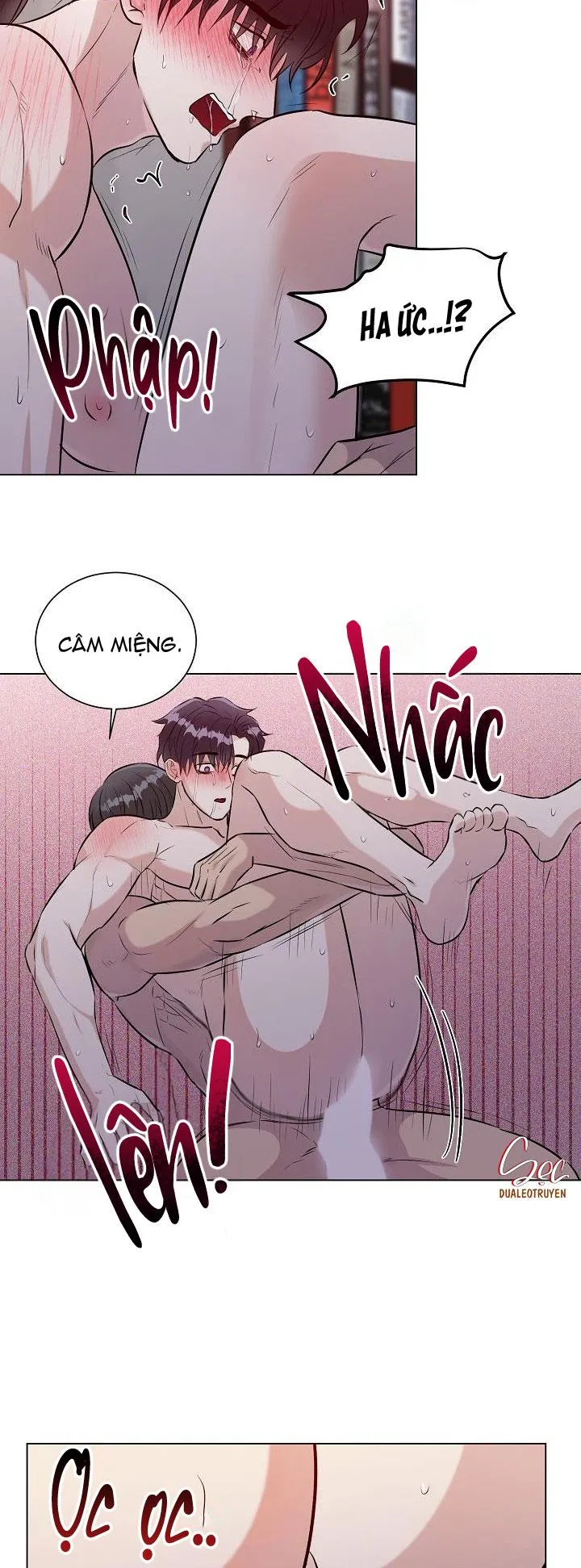 Cái bóng sau song cửa sắt Chapter 13 Trang 17