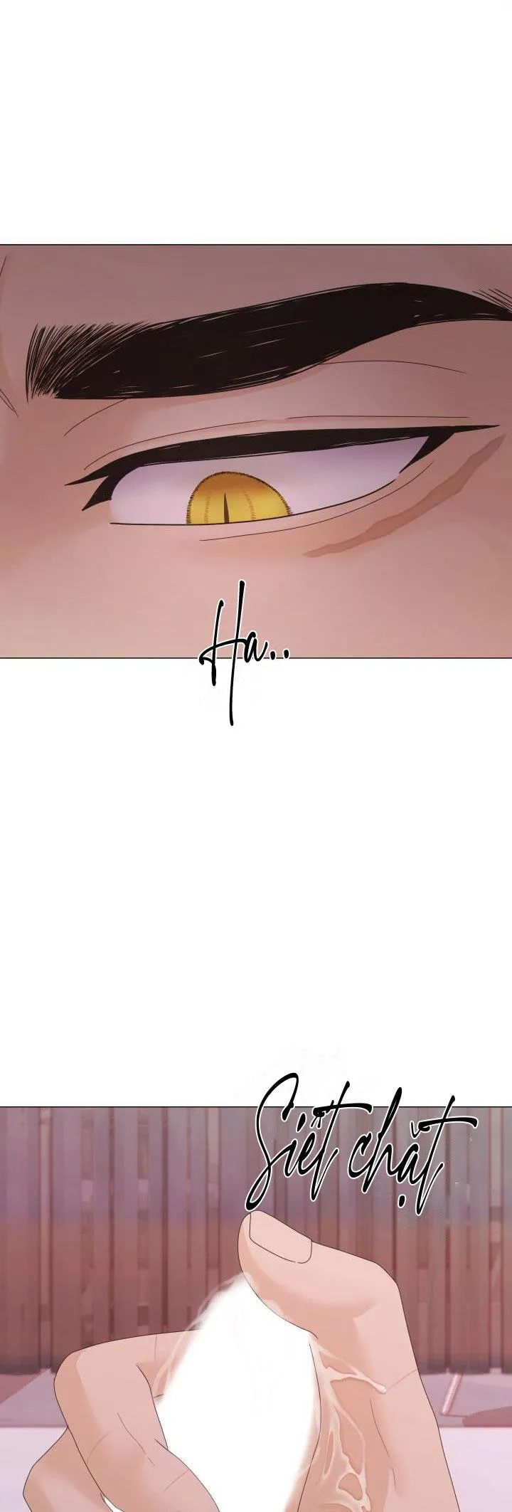 CÁI NÔI CỦA TỘI ÁC Chapter 10 Trang 40