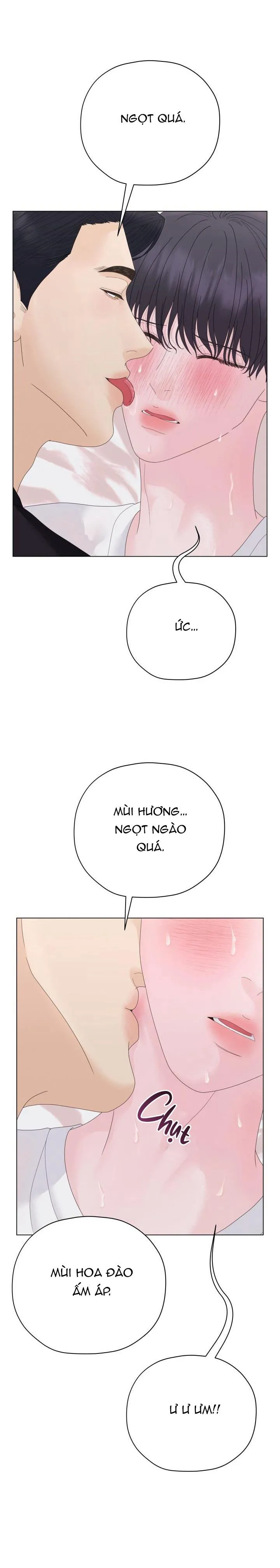 CÁI NÔI CỦA TỘI ÁC Chapter 17 Trang 11