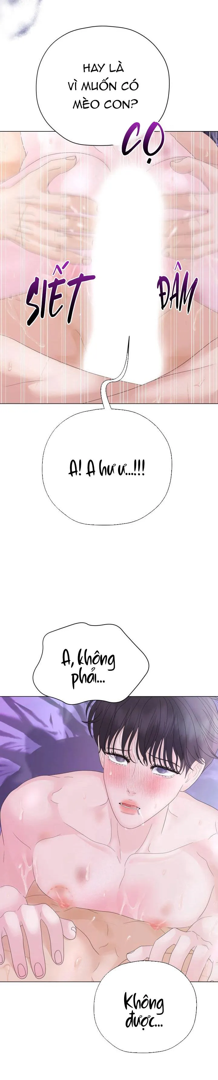 CÁI NÔI CỦA TỘI ÁC Chapter 19 Trang 19