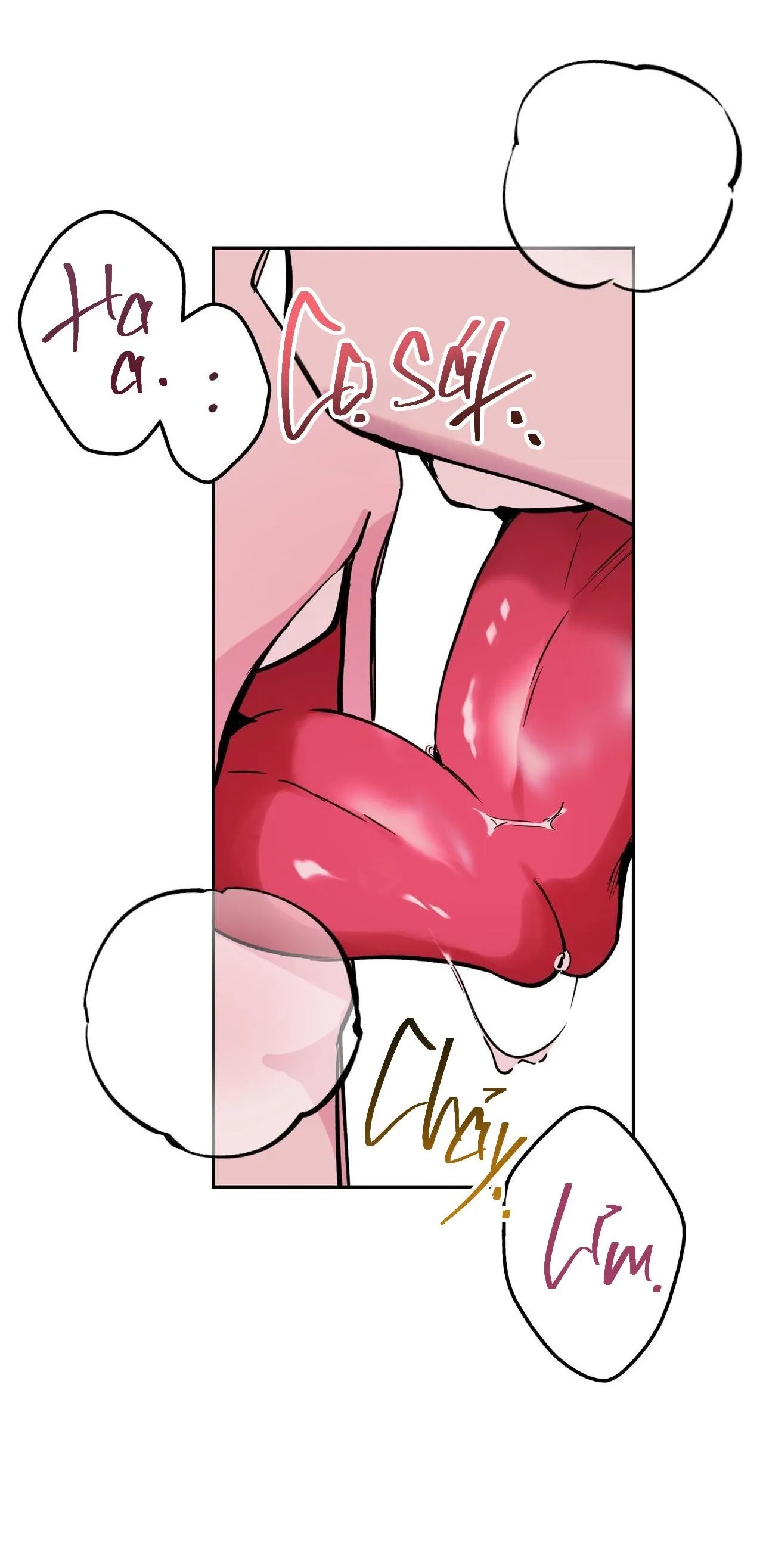 CẠM BẪY ĐẠI HỌC Chapter 36 Trang 15