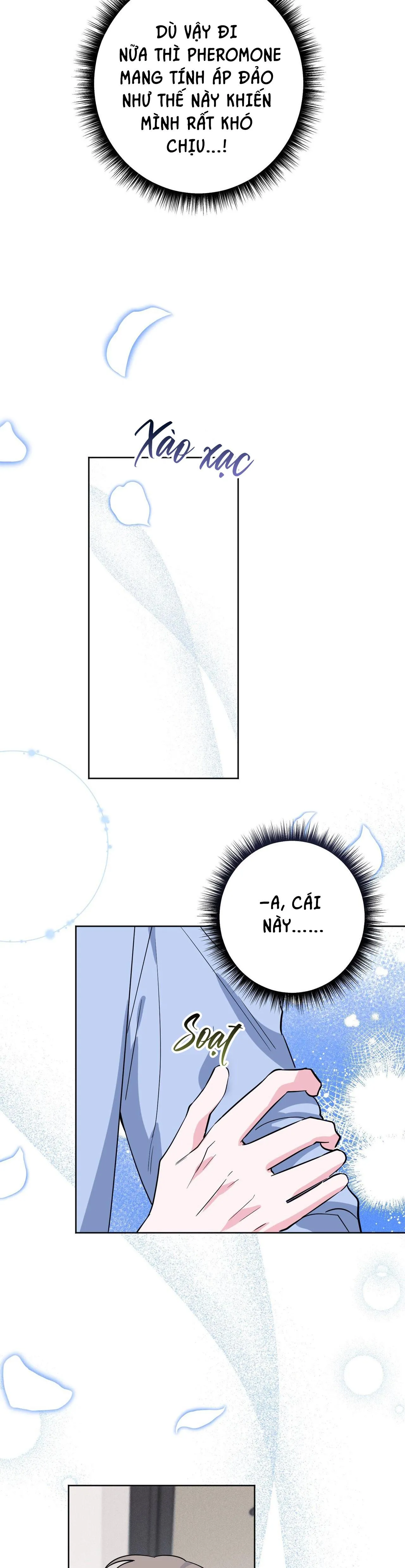 CẠM BẪY ĐẠI HỌC Chapter 64 Trang 18