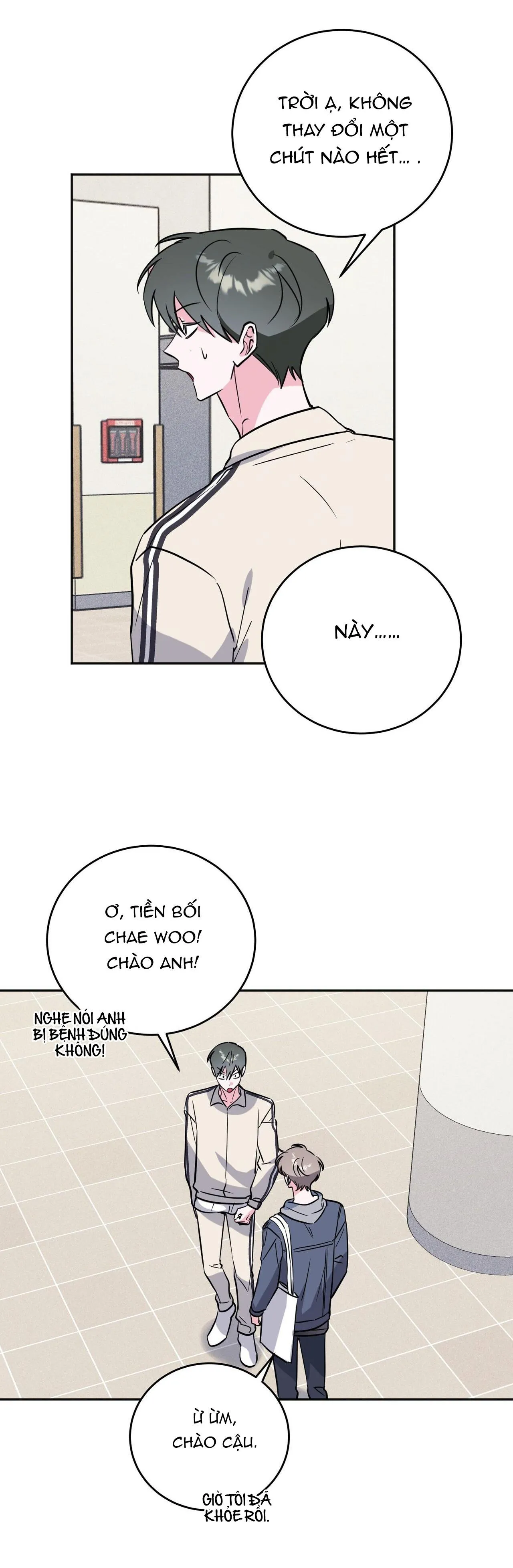 CẠM BẪY ĐẠI HỌC Chapter 80 Trang 31