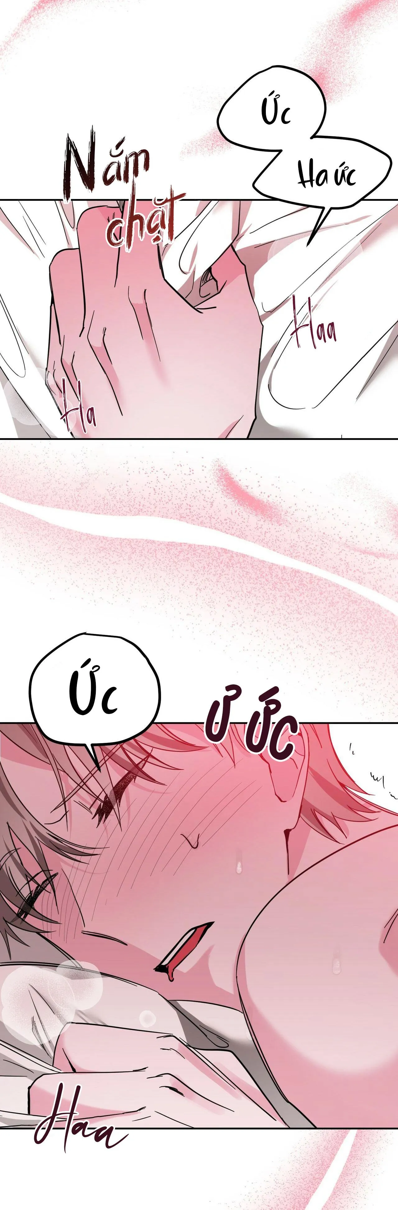 CẠM BẪY ĐẠI HỌC Chapter 9 Trang 16