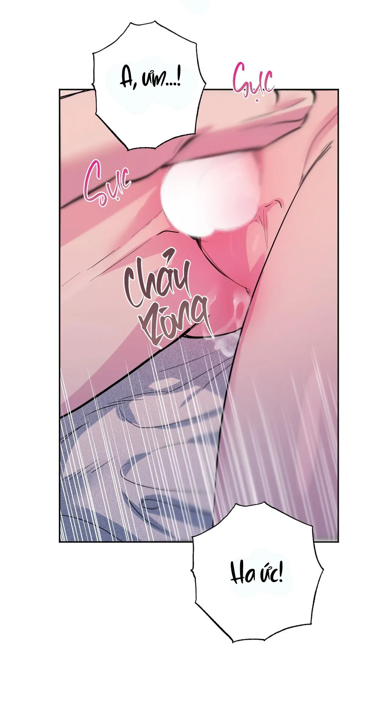 CẠM BẪY ĐẠI HỌC Chapter 94 Trang 16