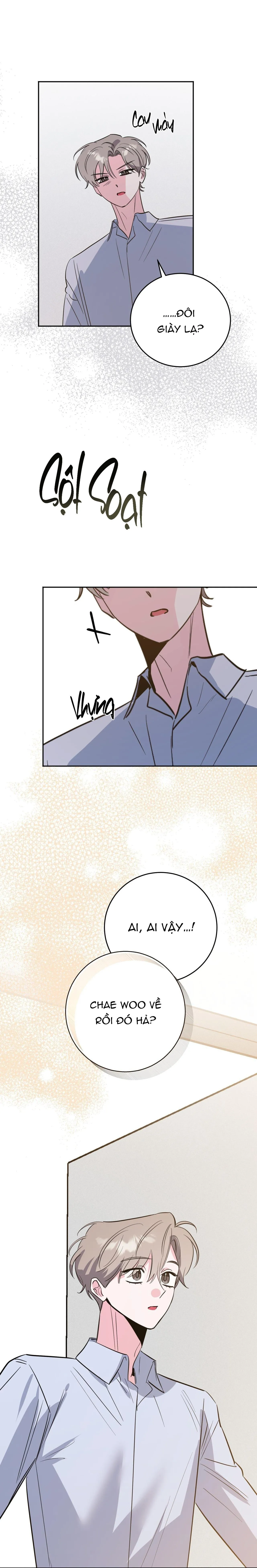 CẠM BẪY ĐẠI HỌC Chapter 95 Trang 26