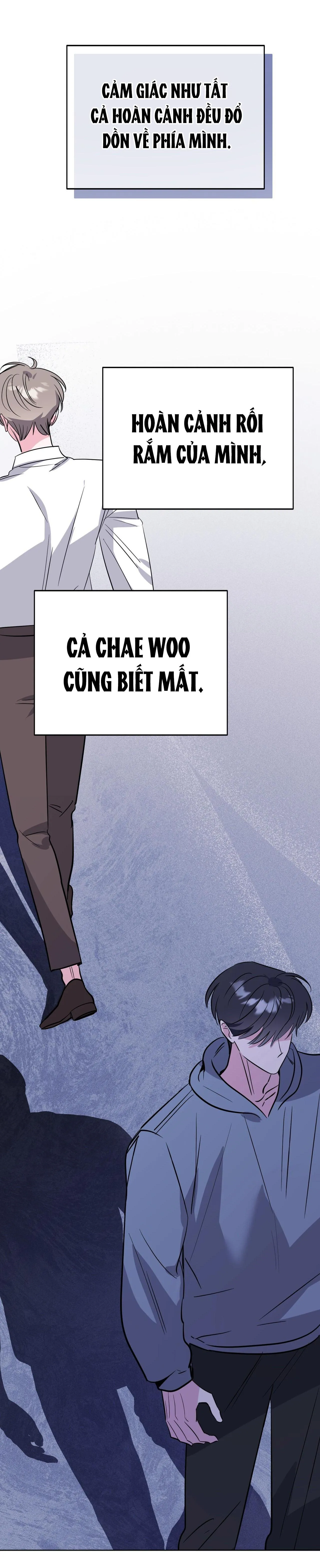 CẠM BẪY ĐẠI HỌC Chapter 97 Trang 48