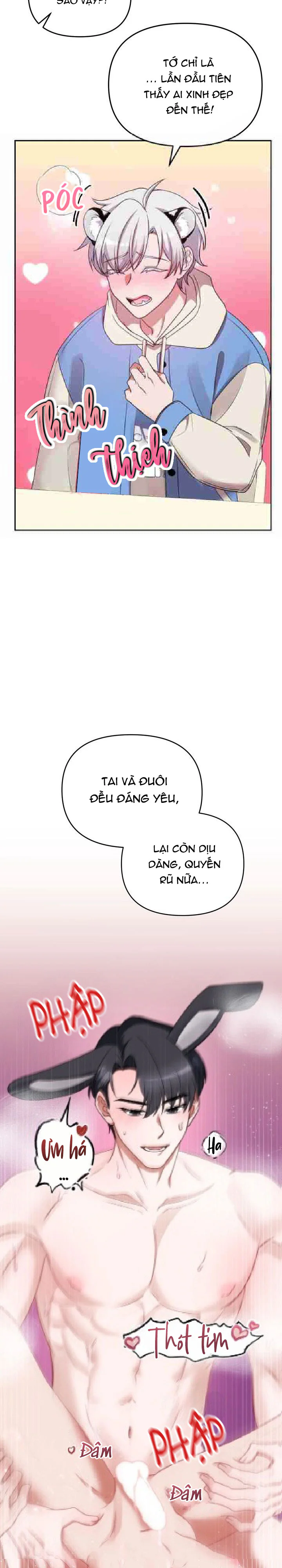 Cắm Cờ Lên Đầu Hổ Núi Baekdu Chapter 3 Trang 16