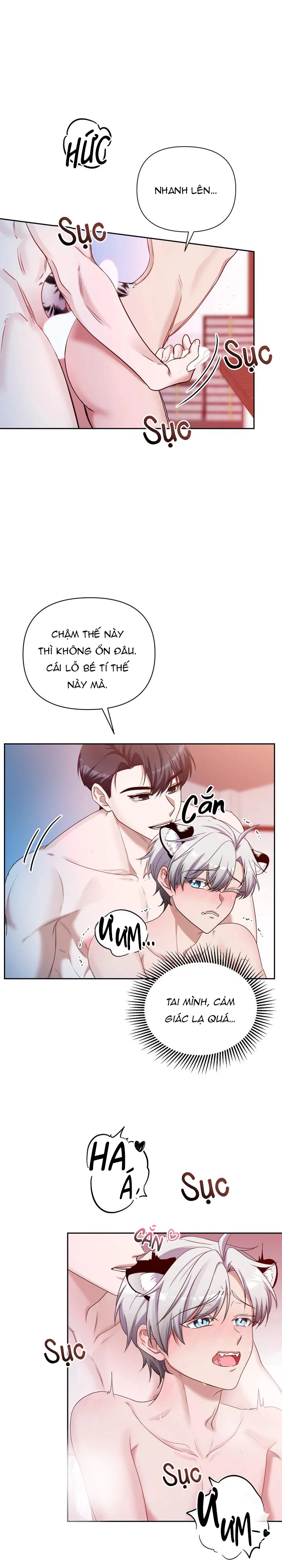 Cắm Cờ Lên Đầu Hổ Núi Baekdu Chapter 4 Trang 4