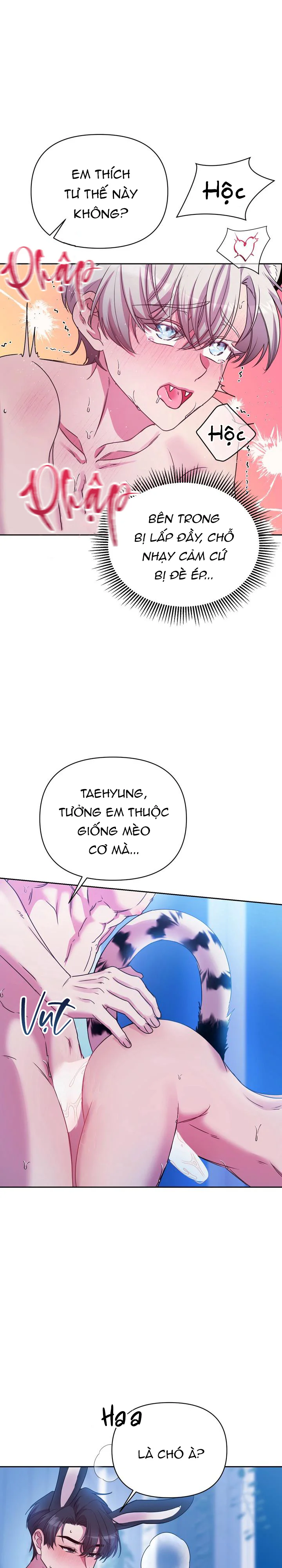 Cắm Cờ Lên Đầu Hổ Núi Baekdu Chapter 6 Trang 10