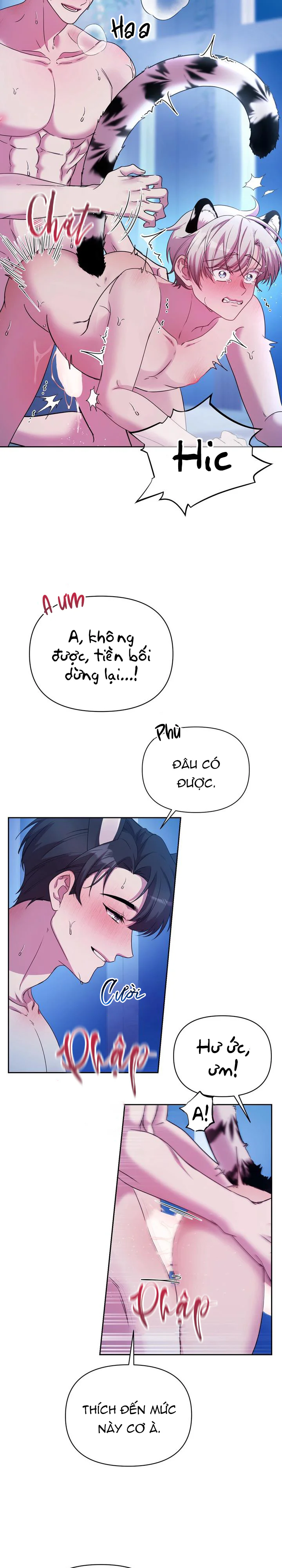 Cắm Cờ Lên Đầu Hổ Núi Baekdu Chapter 6 Trang 11