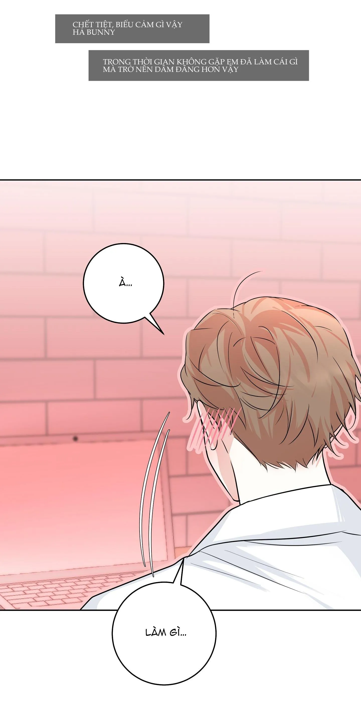 CAMBOY BUNNY Chapter 15 Trang 44