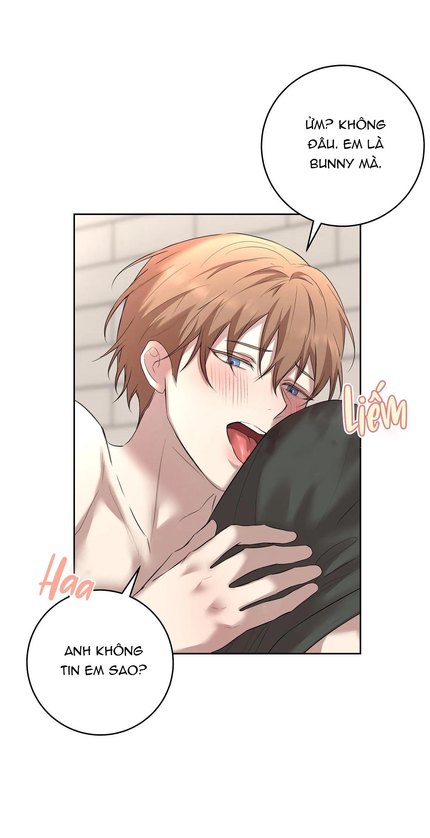 CAMBOY BUNNY Chapter 21 Trang 52