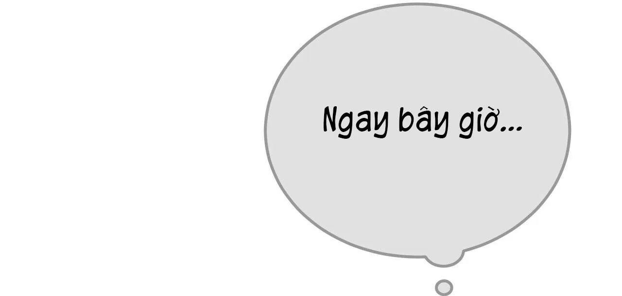 TIỀN BỐI, ANH LÀ OMEGA SAO!? Chapter 18 Trang 31