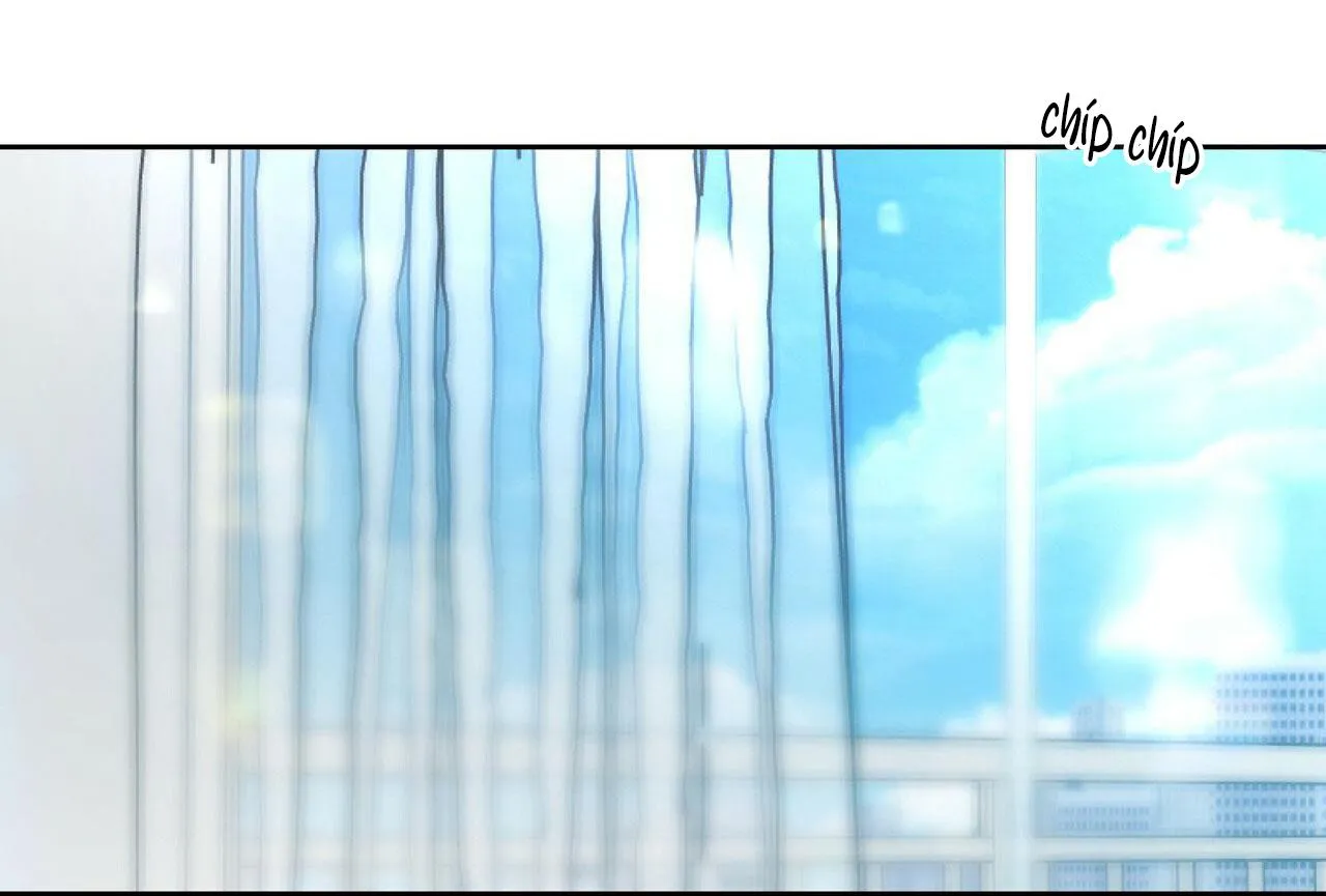 TIỀN BỐI, ANH LÀ OMEGA SAO!? Chapter 19 Trang 8