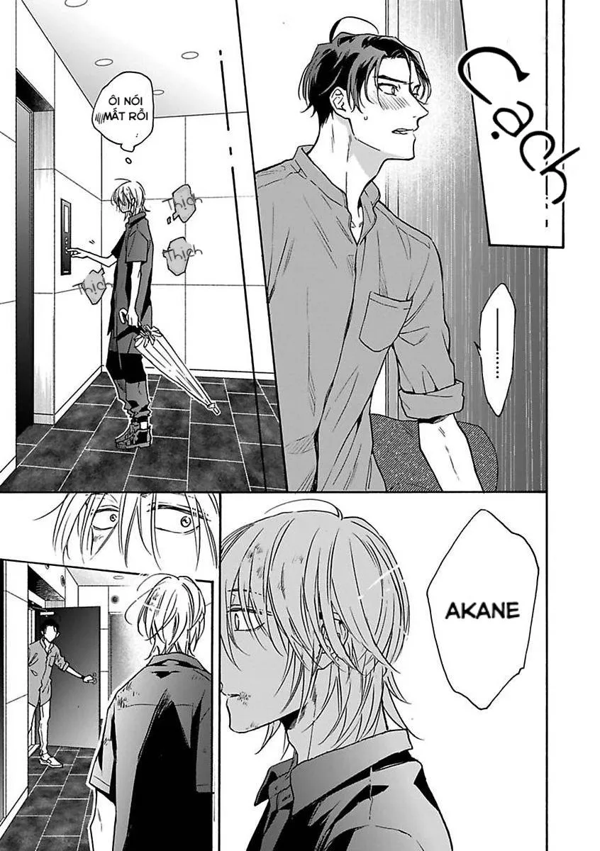 Cắn Nát Viên Ruby Đỏ Chapter 4 Trang 25