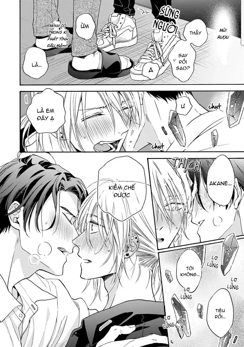 Cắn Nát Viên Ruby Đỏ Chapter 5 Trang 17