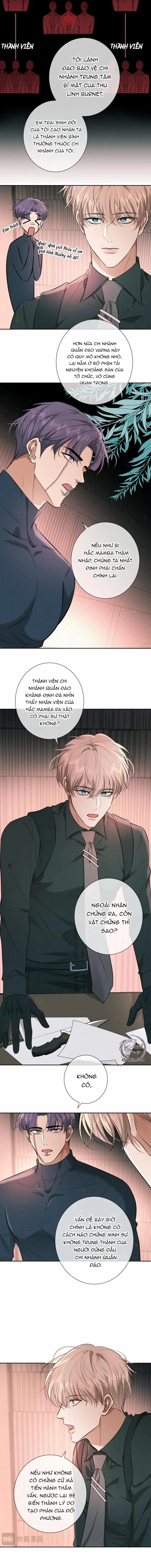 Cạn Tình Chapter 11 Trang 4