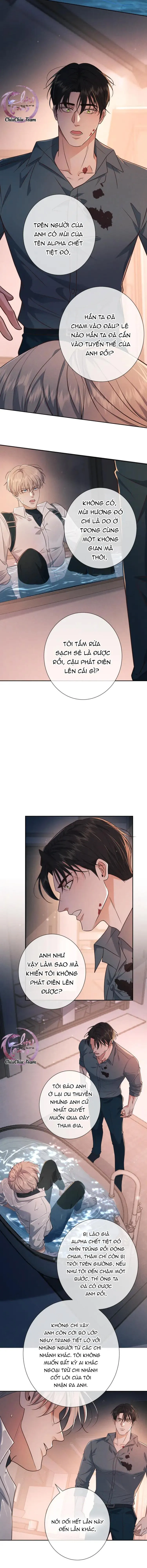 Cạn Tình Chapter 24 Trang 8