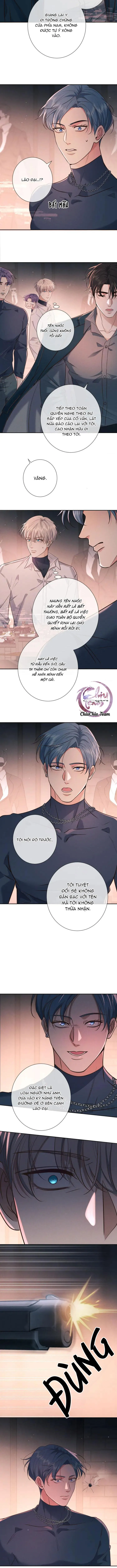 Cạn Tình Chapter 26 Trang 8