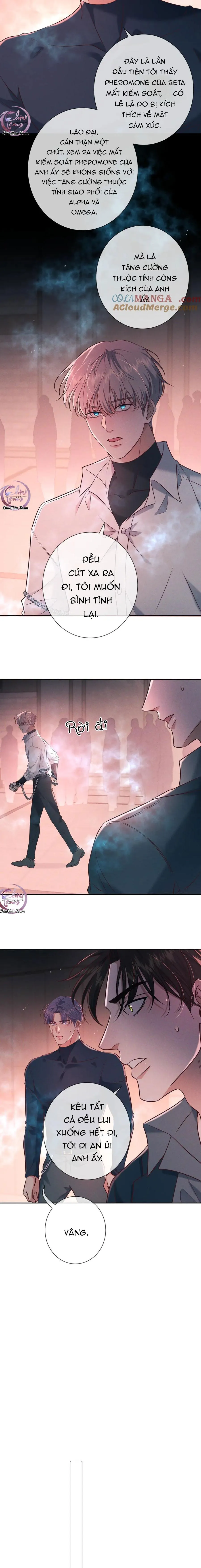 Cạn Tình Chapter 27 Trang 11