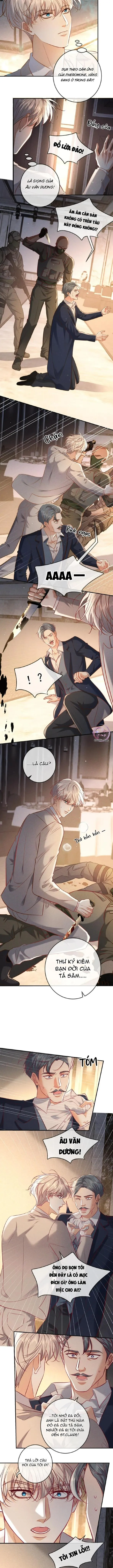 Cạn Tình Chapter 71 Trang 4
