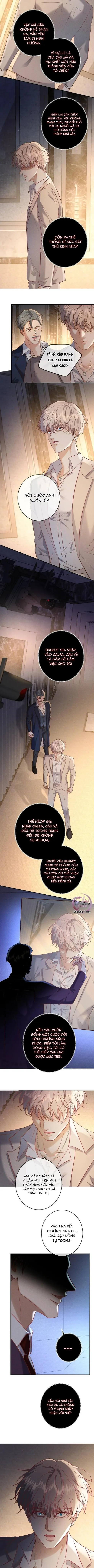 Cạn Tình Chapter 71 Trang 6