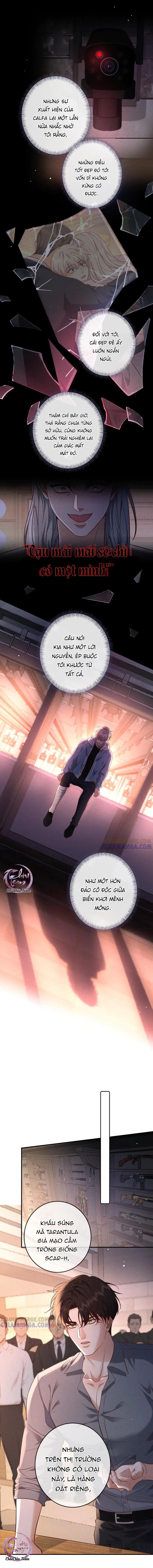 Cạn Tình Chapter 74 Trang 4