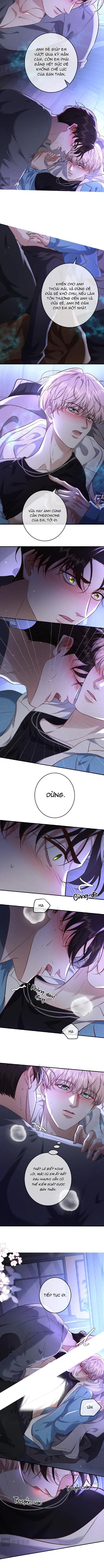 Cạn Tình Chapter 75 Trang 6