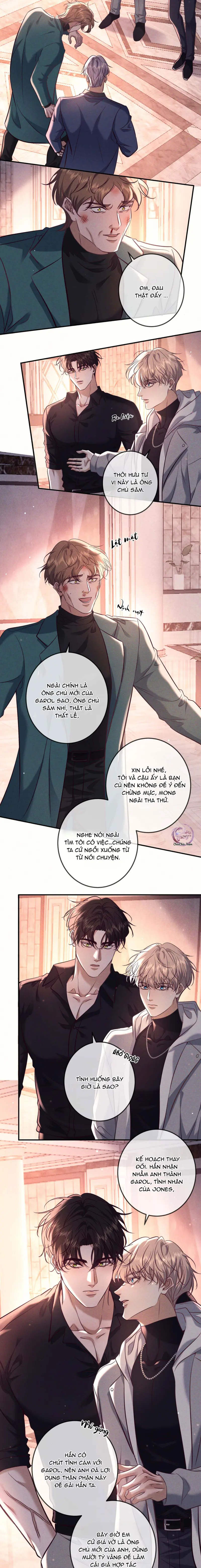 Cạn Tình Chapter 79 Trang 14