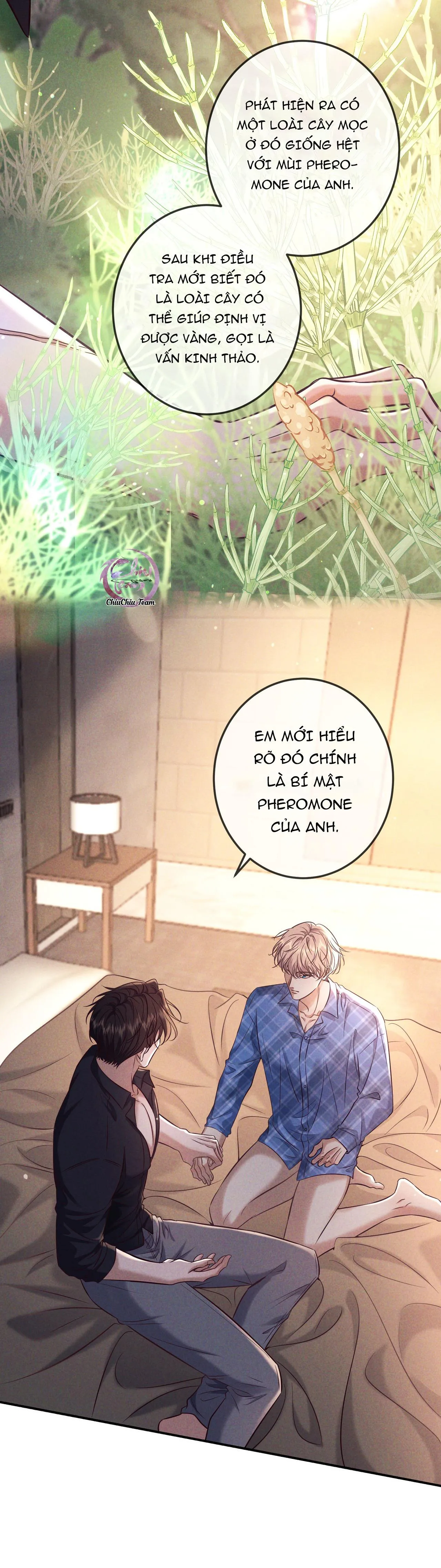 Cạn Tình Chapter 81 Trang 14