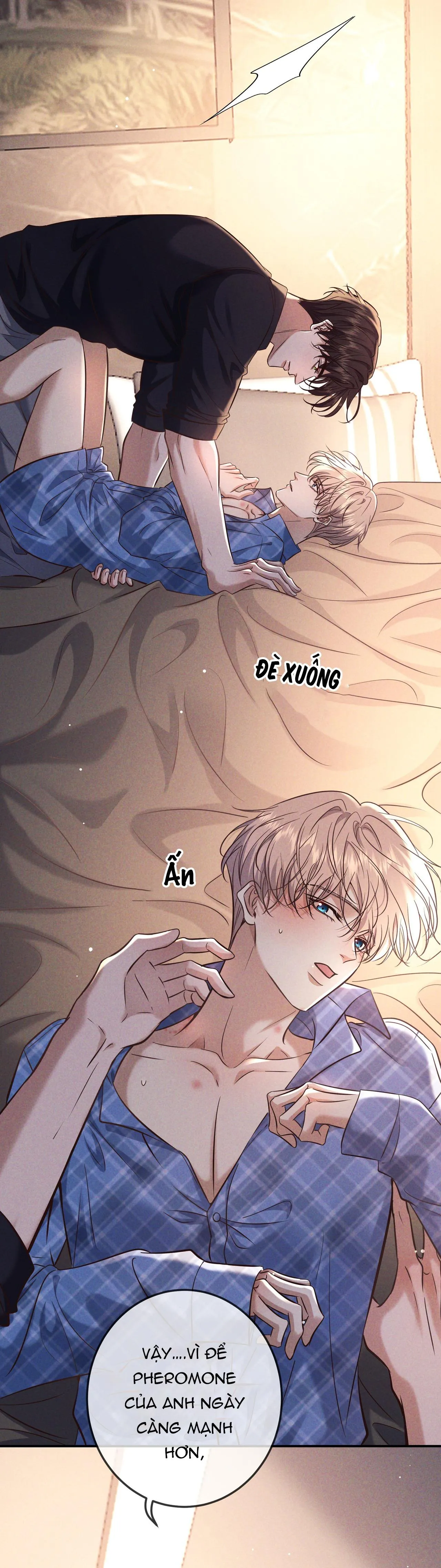 Cạn Tình Chapter 81 Trang 19