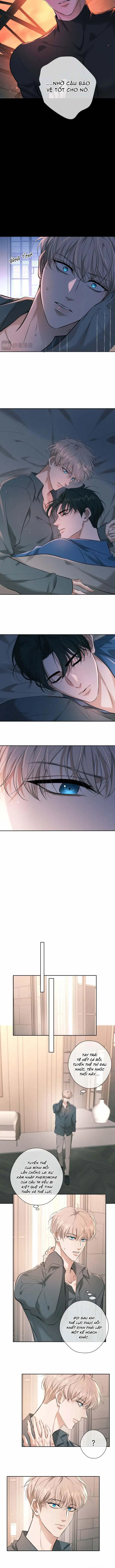 Cạn Tình Chapter 9 Trang 4