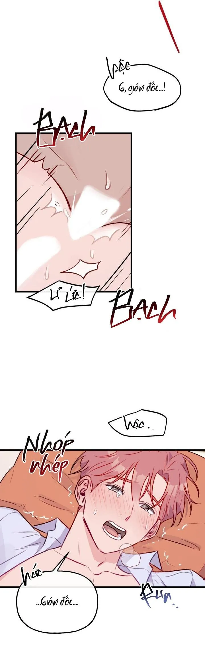 CẢNH BÁO BẢO MẬT Chapter 12 Trang 6