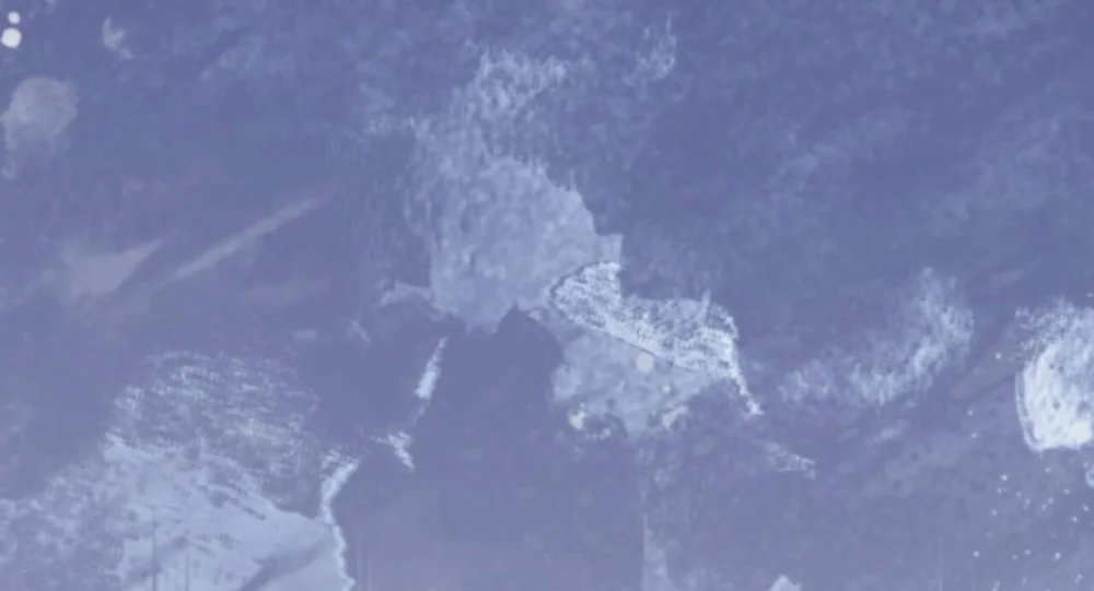 Cảnh báo: có thú dữ kìa Chapter 21 Trang 15