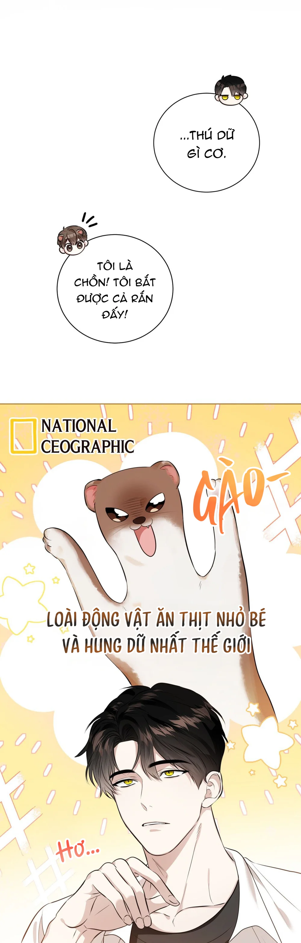 Cảnh Báo Thú Săn Mồi Chapter 1 Trang 37