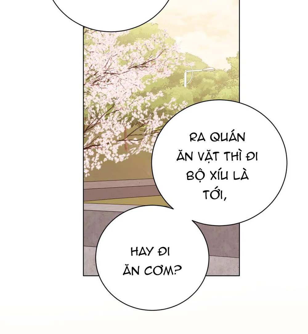 Cảnh Báo Thú Săn Mồi Chapter 13 Trang 12