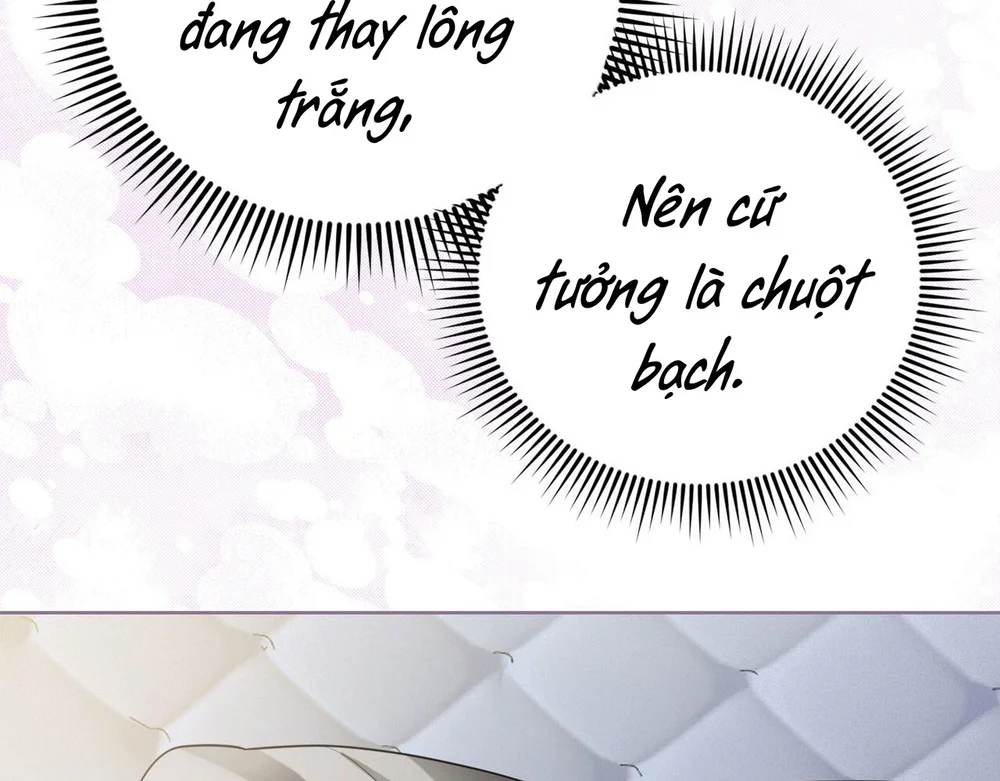 Cảnh Báo Thú Săn Mồi Chapter 17 Trang 62