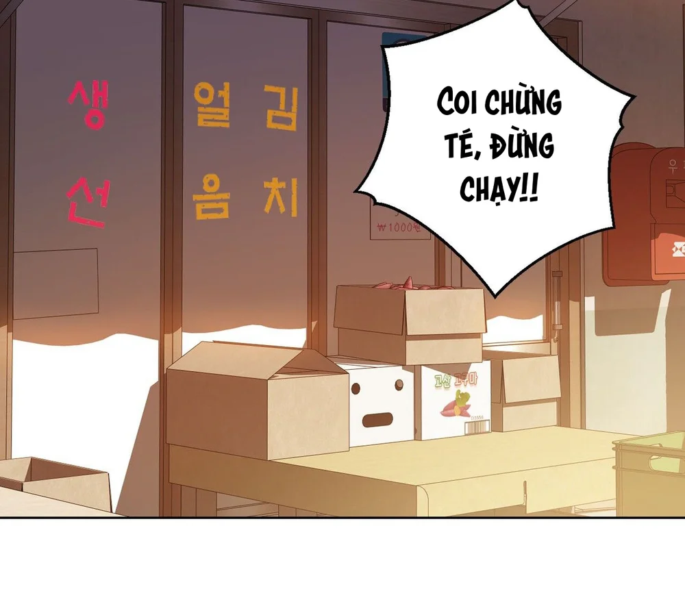 Cảnh Báo Thú Săn Mồi Chapter 2 Trang 24