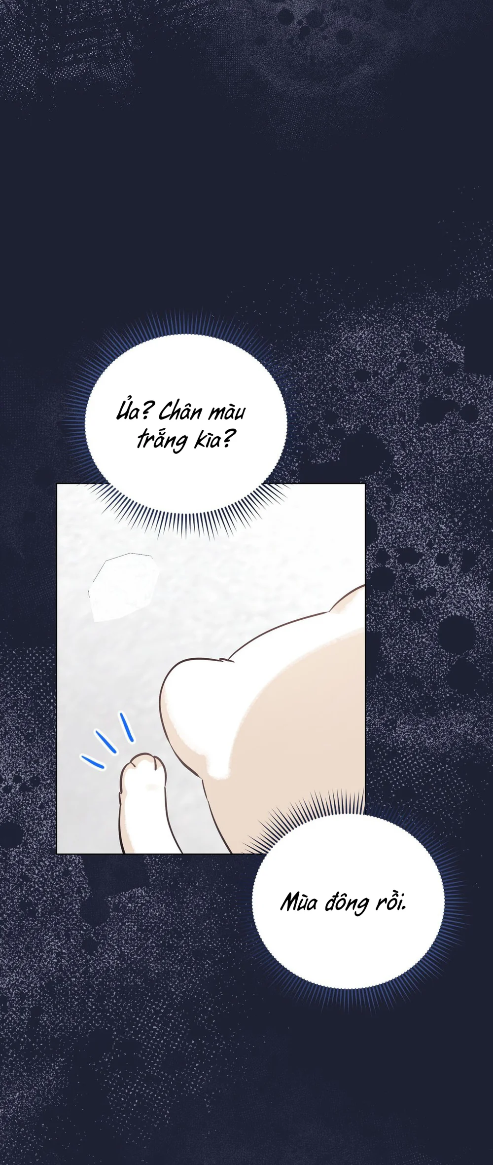 Cảnh Báo Thú Săn Mồi Chapter 4 Trang 49