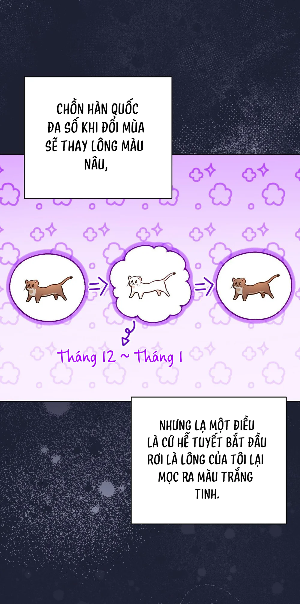 Cảnh Báo Thú Săn Mồi Chapter 4 Trang 50