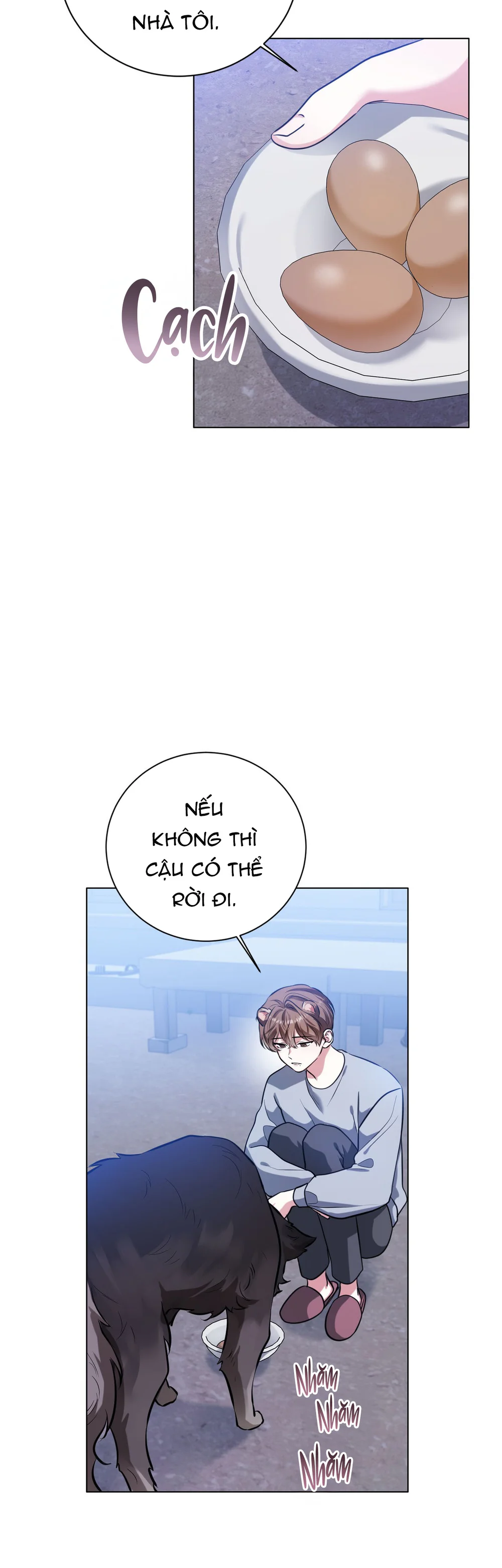 Cảnh Báo Thú Săn Mồi Chapter 5 Trang 29