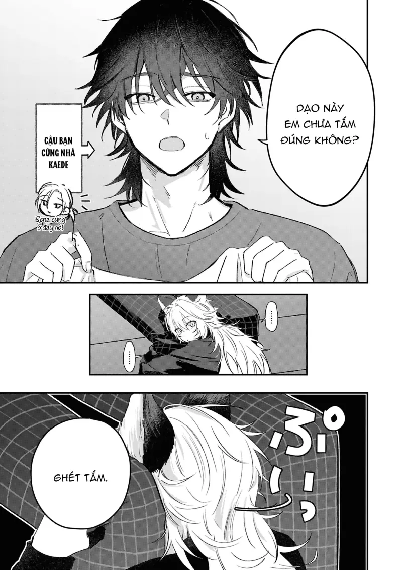 Cáo Nhỏ Uri Chapter 3 Trang 4