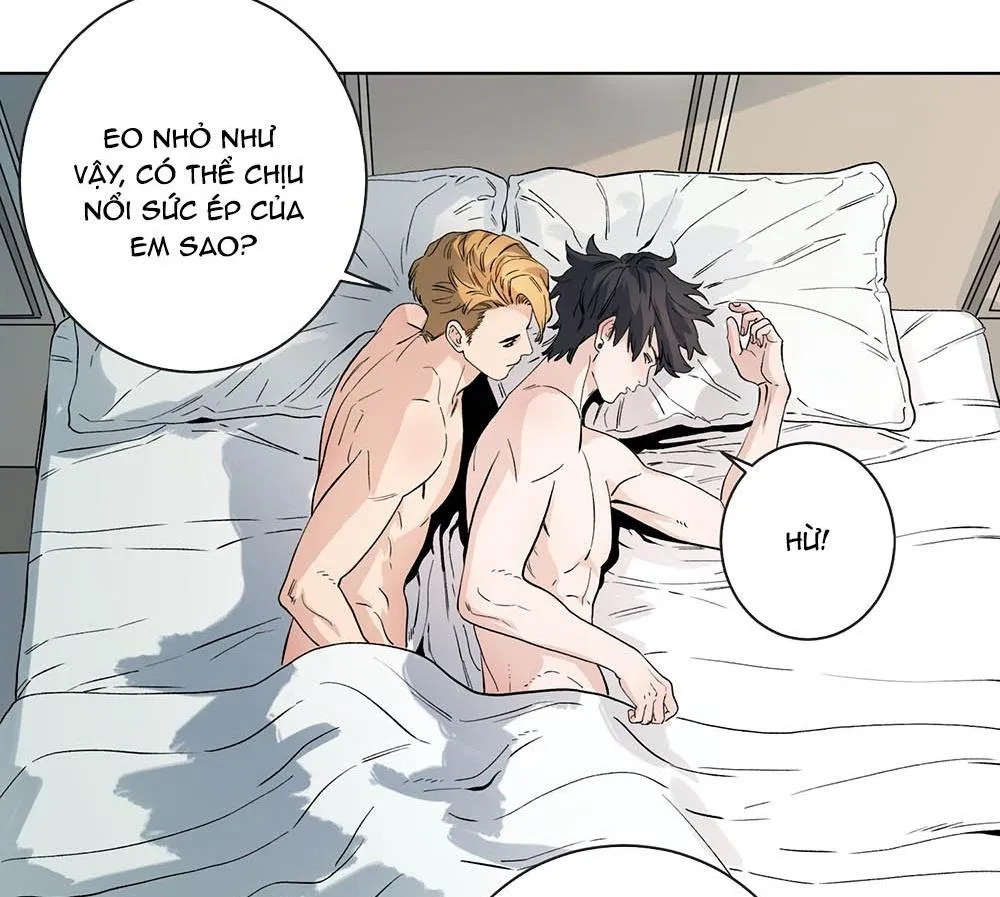 Cao Trường và Đại Hoàng Chapter 42 Trang 3