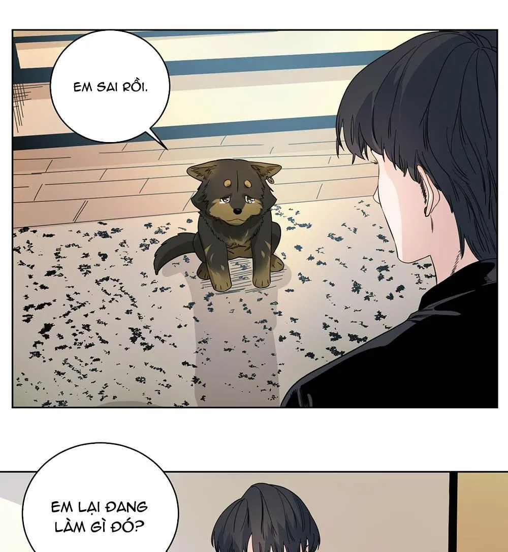 Cao Trường và Đại Hoàng Chapter 43 Trang 21