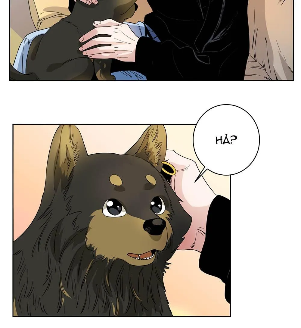 Cao Trường và Đại Hoàng Chapter 43 Trang 25