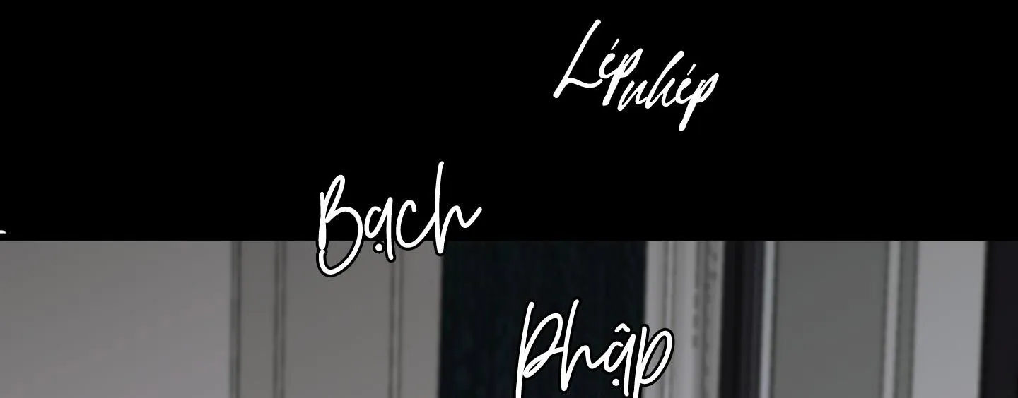 |DROP| Cặp Bài Trùng Chapter 7 Trang 42