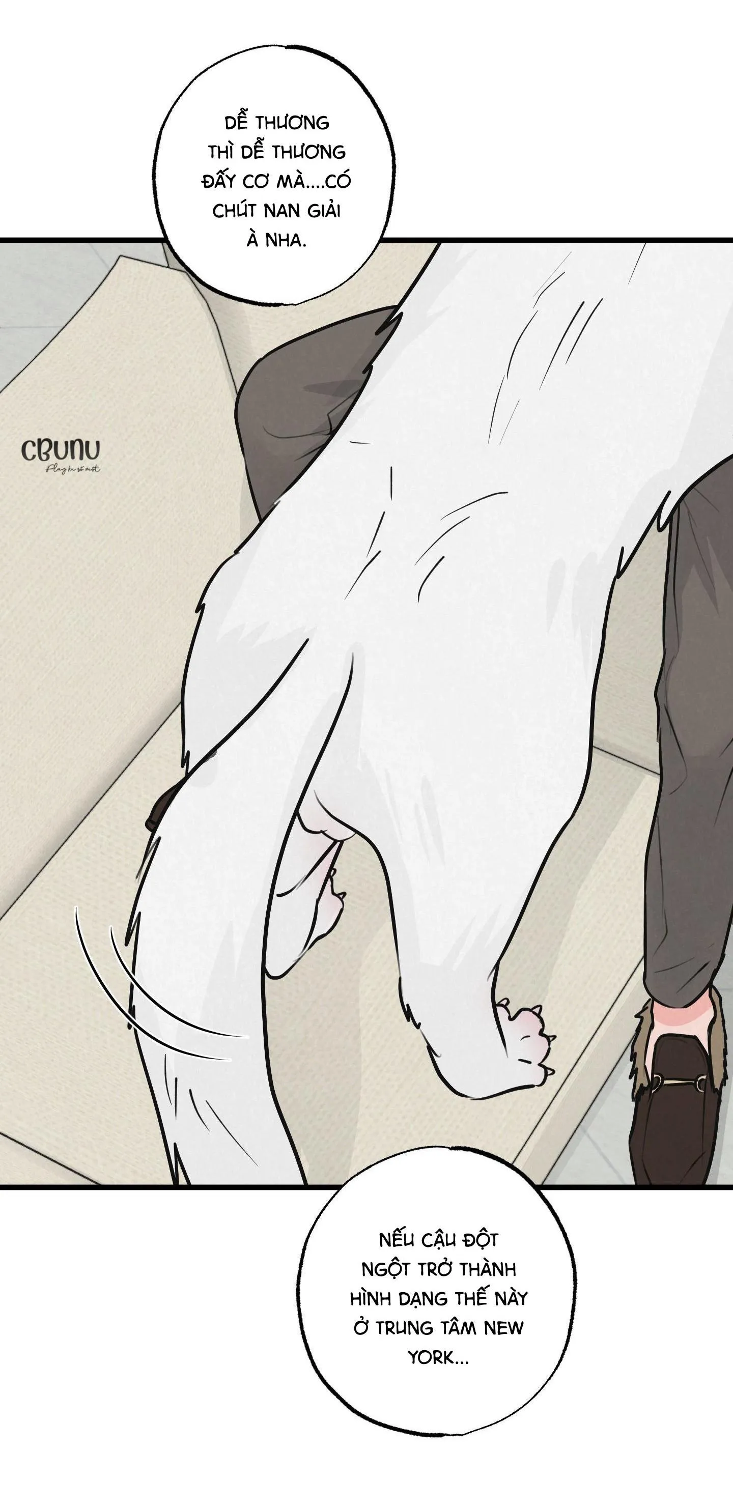 |DROP| Cặp Bài Trùng Chapter 8 Trang 84