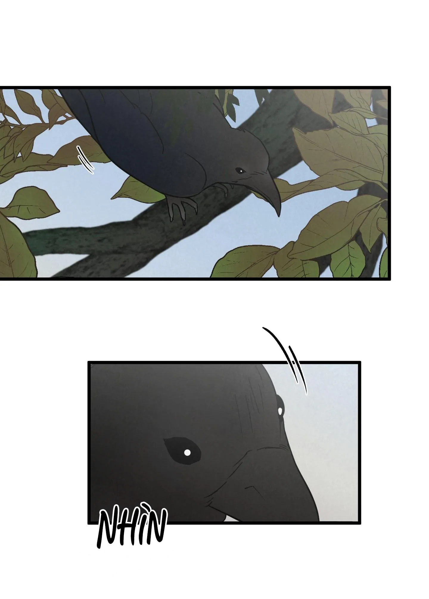 CẶP ĐÔI HOÀN HẢO Chapter 1 Trang 11